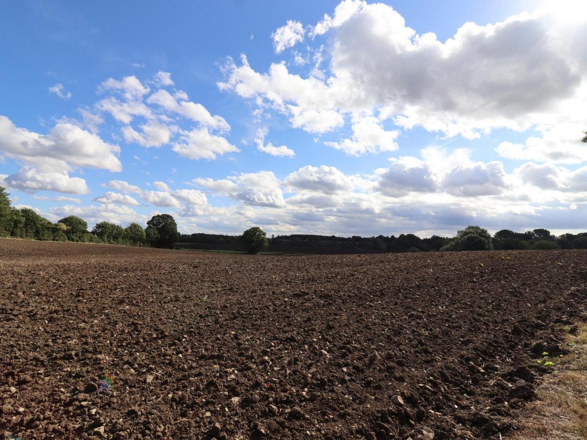 Wayside Cottage Bedford Esterno foto